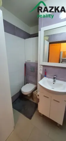 Pronájem bytu 1+1, Tachov, Želivského, 41 m2