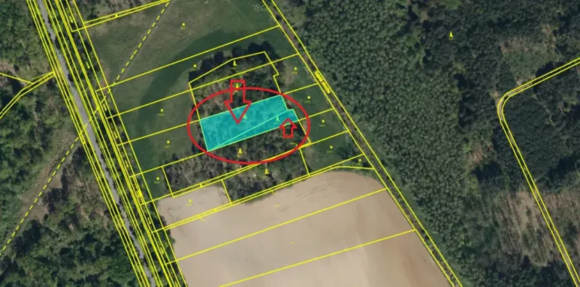 Prodej podílu lesa, Stéblová, 890 m2
