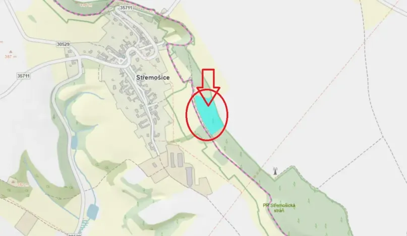 Prodej podílu lesa, Řepníky, 4901 m2