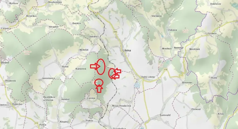 Prodej podílu lesa, Nová Hradečná, 2498 m2
