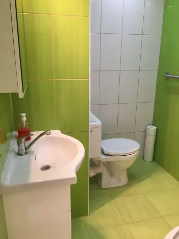 Pronájem bytu 1+1, Žatec, 40 m2