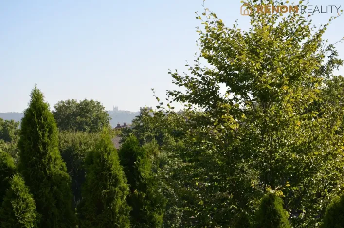 Pronájem bytu 5+1, Olomouc - Chválkovice, Chválkovická, 140 m2