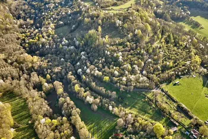 Prodej pozemku pro bydlení, Okounov, 13326 m2