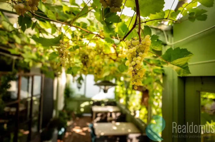 Prodej restaurace, Protivín - Chvaletice, 320 m2