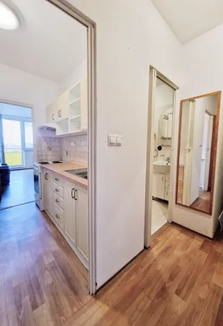 Prodej bytu 1+kk, Kroměříž, Oskol, 28 m2
