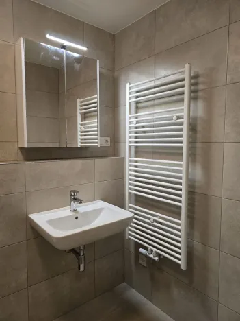 Pronájem bytu 1+kk, Plzeň, Goldscheiderova, 30 m2