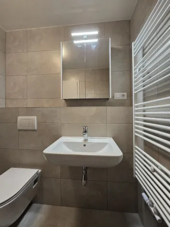 Pronájem bytu 1+kk, Plzeň, Goldscheiderova, 30 m2