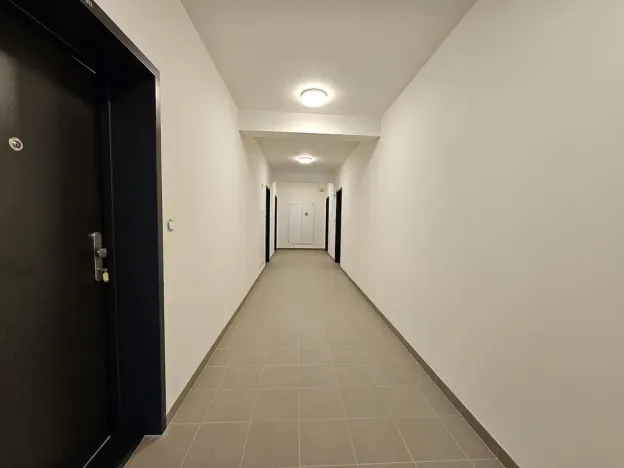 Pronájem bytu 1+kk, Plzeň, Goldscheiderova, 30 m2