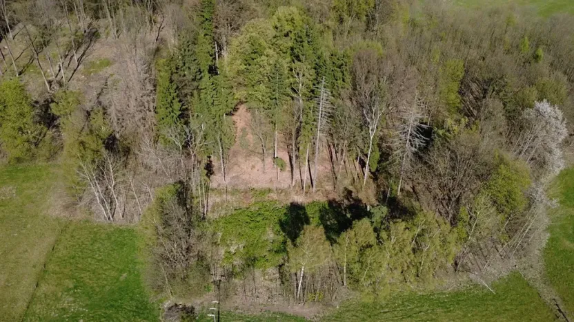 Prodej lesa, Loužnice, 5723 m2