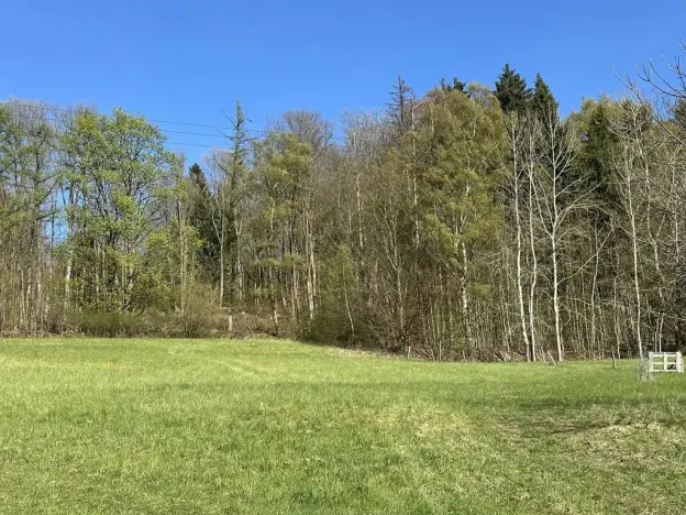 Prodej lesa, Loužnice, 5723 m2