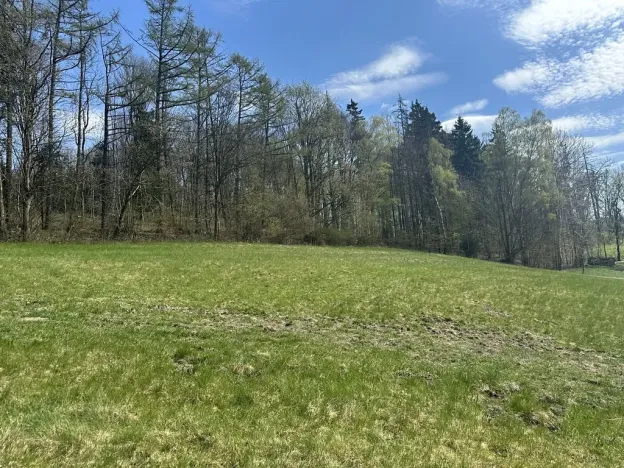 Prodej lesa, Loužnice, 5723 m2