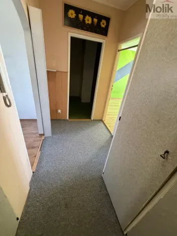 Prodej bytu 3+1, Most, K. H. Borovského, 55 m2