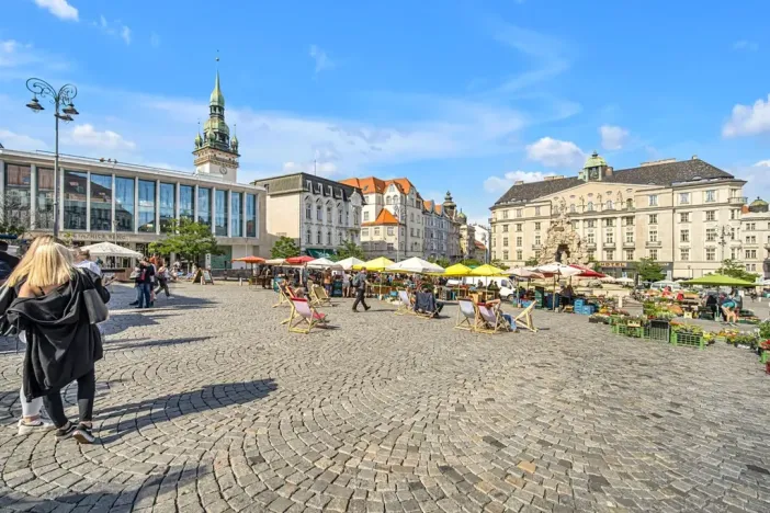 Pronájem pokoje, Brno, Starobrněnská, 22 m2