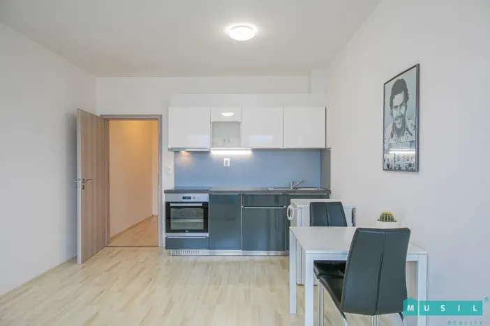 Pronájem bytu 1+kk, Olomouc - Řepčín, Aloise Rašína, 35 m2