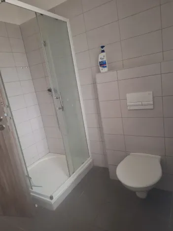 Pronájem bytu 1+kk, Chotěšov, Ořechová, 38 m2