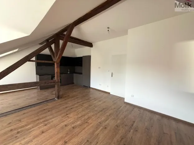 Pronájem bytu 2+kk, Chomutov, 28. října, 58 m2