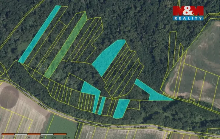 Prodej lesa, Přerov nad Labem, 70048 m2
