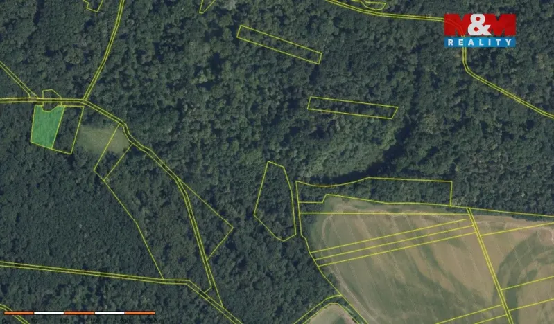 Prodej lesa, Přerov nad Labem, 70048 m2