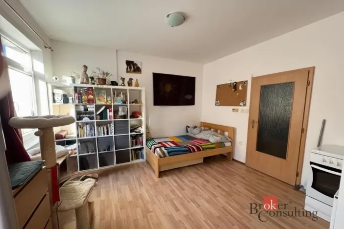 Pronájem bytu 1+kk, České Budějovice - České Budějovice 3, Nová, 30 m2