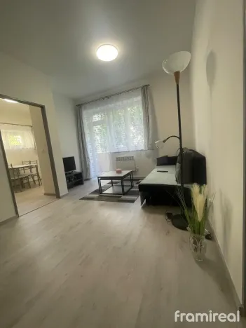 Pronájem bytu 3+1, Brno, Renneská třída, 42 m2