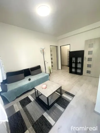 Pronájem bytu 3+1, Brno, Renneská třída, 42 m2