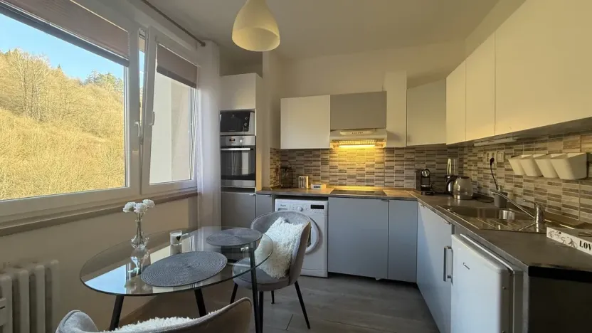 Pronájem bytu 1+1, Vsetín, Dolní Jasenka, 34 m2