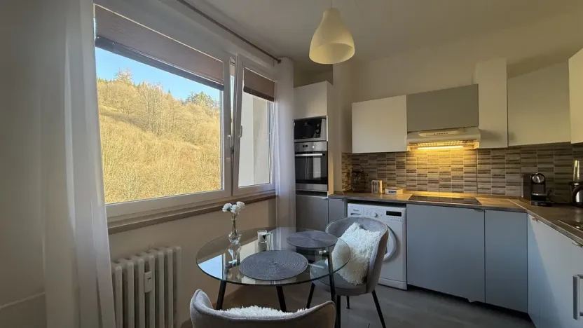 Pronájem bytu 1+1, Vsetín, Dolní Jasenka, 34 m2