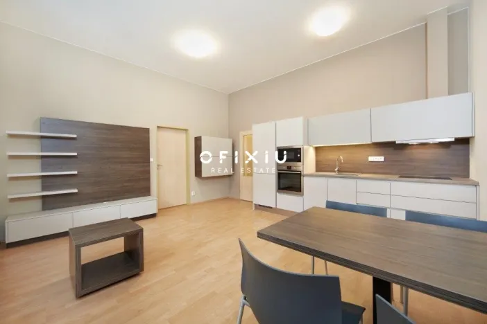 Pronájem bytu 2+kk, Brno - Brno-město, Masarykova, 49 m2