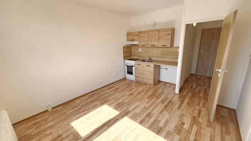 Prodej bytu 1+kk, Ústí nad Labem, Mlýnská, 22 m2