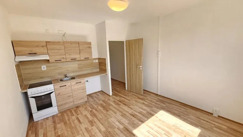 Prodej bytu 1+kk, Ústí nad Labem, Mlýnská, 22 m2