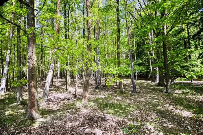 Prodej činžovního domu, Rosovice, 900 m2