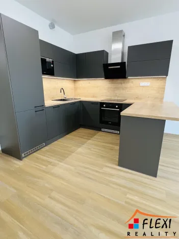 Pronájem bytu 2+kk, Ostrava, U Hájenky, 56 m2