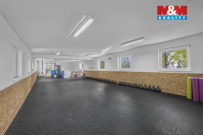 Prodej obchodního prostoru, Hradec Králové - Pražské Předměstí, Seydlerova, 195 m2