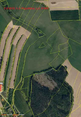 Prodej lesa, Červená Řečice, 496 m2