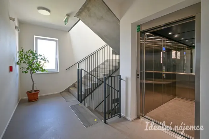 Pronájem bytu 1+kk, Brno, Křenová, 28 m2