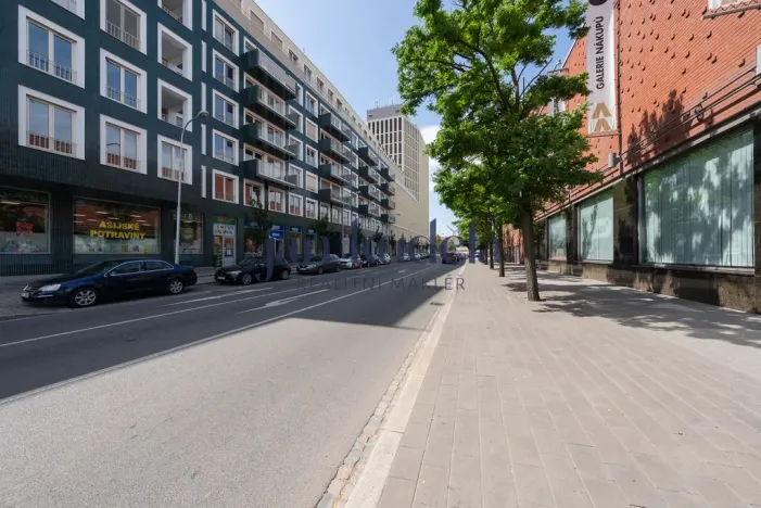 Pronájem bytu 1+kk, Brno, Trnitá, 24 m2