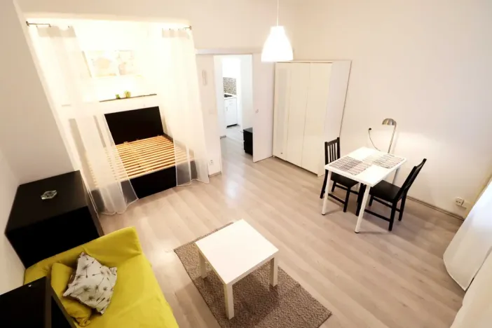 Pronájem bytu 1+kk, Brno - Veveří, Cihlářská, 29 m2