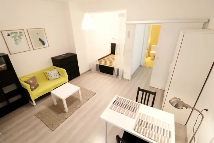 Pronájem bytu 1+kk, Brno - Veveří, Cihlářská, 29 m2