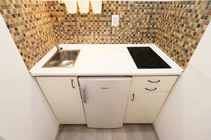 Pronájem bytu 1+kk, Brno - Veveří, Cihlářská, 29 m2