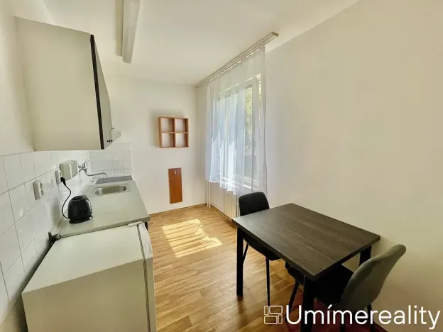 Pronájem bytu 1+1, Mladá Boleslav, Zalužanská, 42 m2