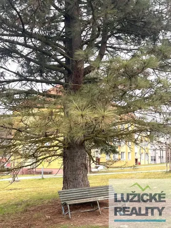 Pronájem bytu 2+1, Česká Kamenice, Pražská, 53 m2