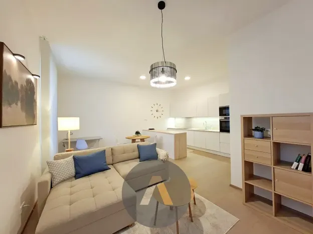 Pronájem bytu 2+kk, Brno, Leitnerova, 60 m2