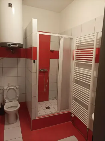 Pronájem bytu 1+kk, Olomouc, Zámečnická, 35 m2