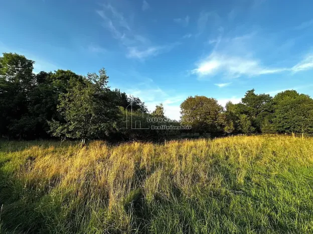 Prodej pozemku pro bydlení, Nová Ves, 4929 m2