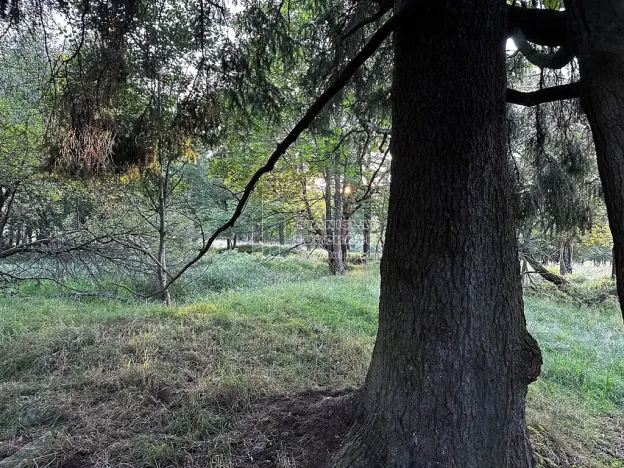 Prodej pozemku pro bydlení, Nová Ves, 4929 m2