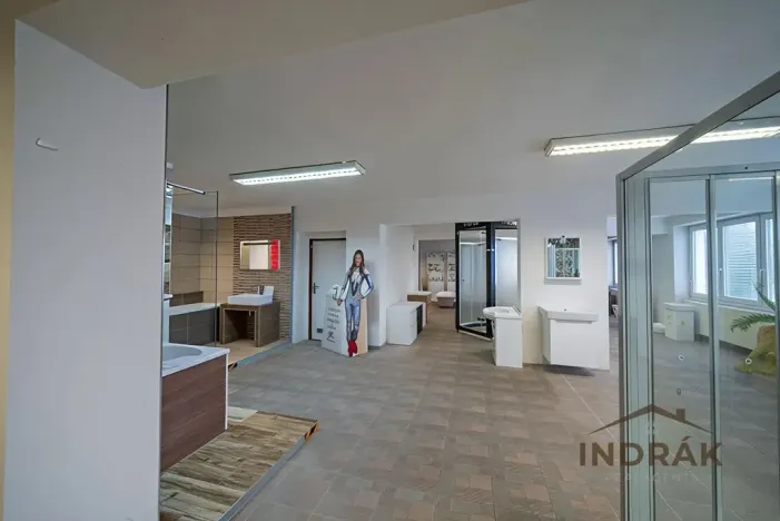 Prodej obchodního prostoru, Nový Jičín, Hřbitovní, 726 m2