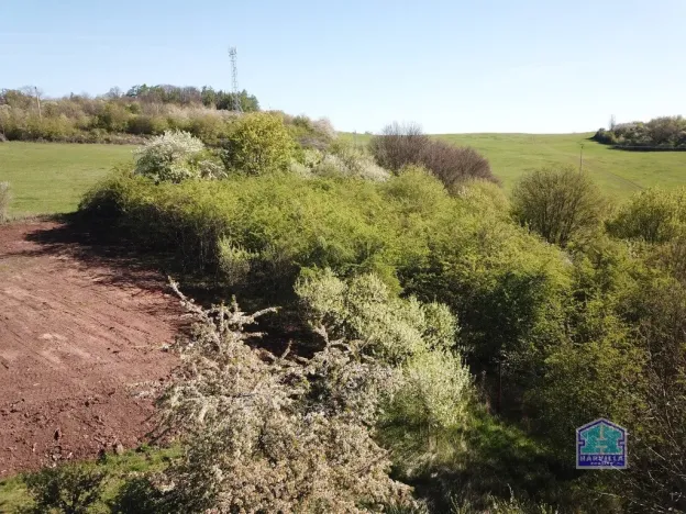 Prodej pozemku pro bydlení, Valeč - Nahořečice, 2955 m2