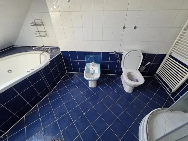 Pronájem bytu 4+kk, Plzeň, Přemyslova, 180 m2