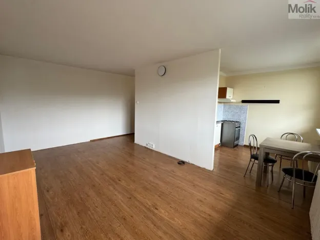 Pronájem bytu 1+1, Most, Brněnská, 33 m2