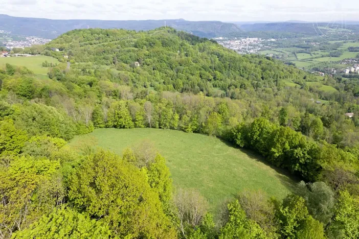 Prodej louky, Děčín, 27274 m2